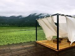 -腾冲北海湿地