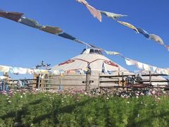 -银肯塔拉沙漠生态旅游景区