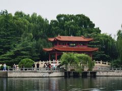 -百脉泉景区