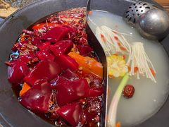 -阳阳老火锅(小南门店)