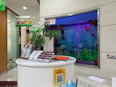 -雅悦齿科(顾村公园店)
