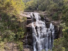 -海南热带雨林国家公园吊罗山景区