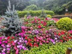 -庐山风景区花径公园