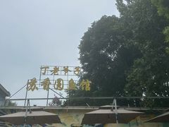 -丁老爷子苏香圆