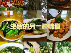 -兴隆槟榔园休闲农庄