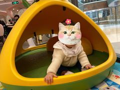 -BossBabe亲子餐厅(金光华广场店)