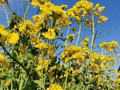 -兴芮温泉度假区