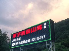 -李子坝梁山鸡(李子坝大鸡哥店)