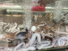 -四海鲜渔家菜(黄金海岸店)