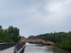 -东寨港红树林旅游区