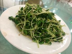-宝发园名菜馆