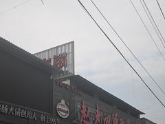-九尺赵老四鲜鹅肠火锅