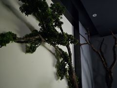 -上足·影院足道·SPA(红岭店)
