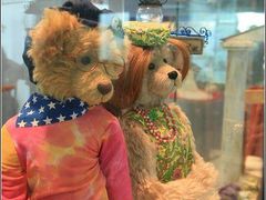 -济州岛泰迪熊博物馆