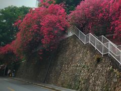 -宋少帝陵