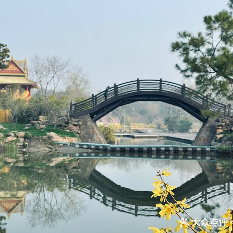 扬州瘦西湖最佳摄影机位看这里❗️❗️