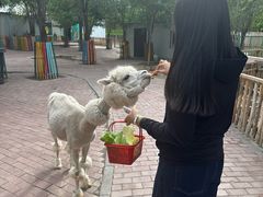 -水上乐园·欢乐世界