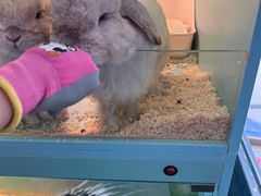 -FAIRYLAND龙族星球主题餐厅(凯丹广场店)