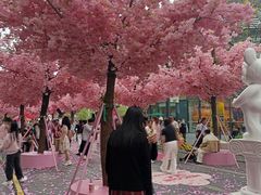 -东莞松山湖万象汇