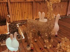 -乌君·酒场·炭火烧鸟(侨城坊店)