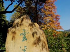 -云溪植物园