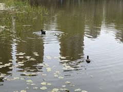 -前关湿地公园