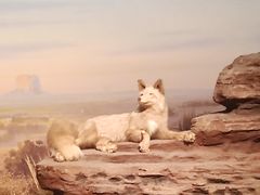 -陕西自然博物馆