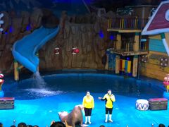 -烟台海昌鲸鲨海洋公园