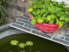 -前门张记涮肉(前门店)