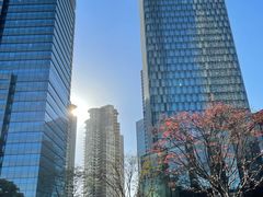 -花园5號餐厅