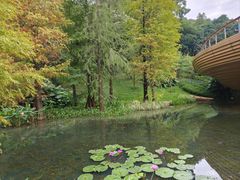 -云溪植物园