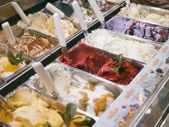 -Gelateria Dondoli
