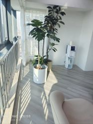 -HEYAN荷妍专业脱毛连锁机构