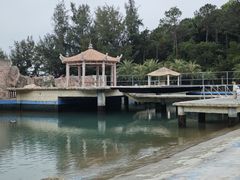-广东惠东海龟国家级自然保护区