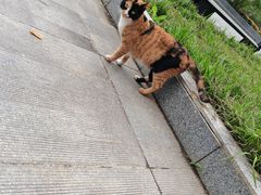 -安徽大学(磬苑校区)
