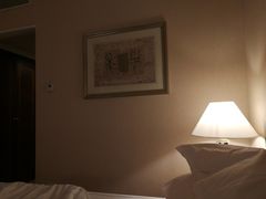 -成都天府丽都喜来登饭店