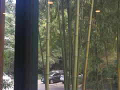 -龙井壹号·茶缘山景宴(龙井村店)