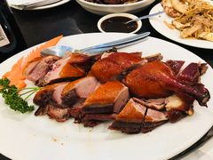 -食为先(Shark Fin)