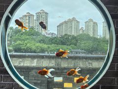 -珠海圆明新园