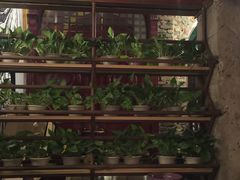 -巴厘龙虾·榜首油焖大虾(洞庭·艺术洋房店)