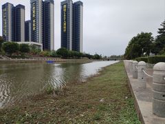 -区海鸡场饭店(石壁店)