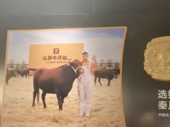 -潮发潮汕牛肉店(东方宝泰店)