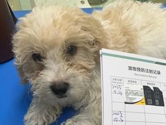 -瑞派申生动物医院·24H夜诊·国际动物医疗中心·骨外科(吴中路店)