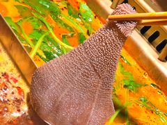 -九鼎轩脆毛肚火锅(三钢里店)