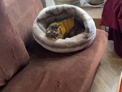 -1984魔法桌游(观音桥店)