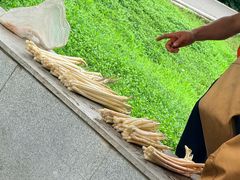 -金银湖国家城市湿地公园
