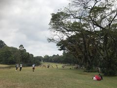 -新加坡总统府