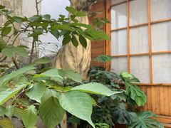 -边渡咖啡烘焙店(昙华林店)