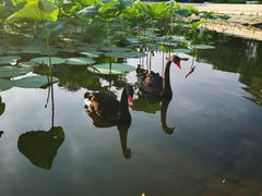 -长春世界雕塑园冰雪艺术天地