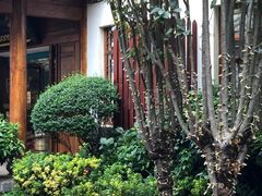 -云上珍野生菌(兴仁店)